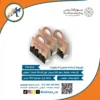 توزيعات-يوم-التاسيس-مكتبة-ابن-سينا-للطباعة